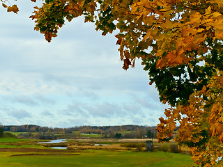 Image showing autumn in rural place