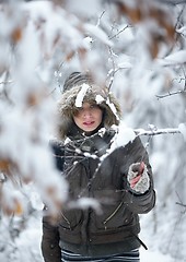 Image showing Winter Fairy