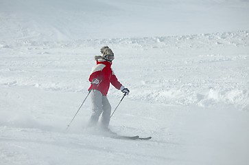 Image showing Skier