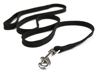 Image showing dog-lead