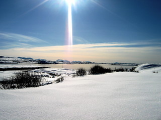 Image showing Christmascards