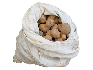 Image showing sack of potato