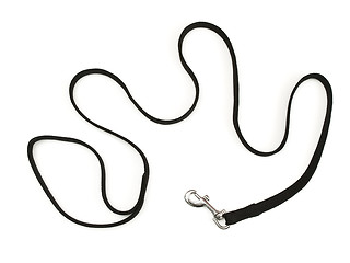 Image showing dog-lead