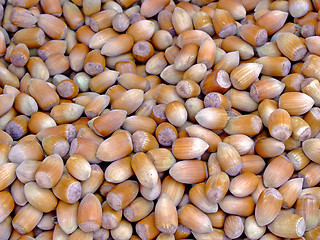 Image showing Hazelnuts in a nutshell