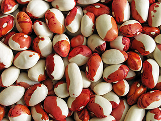 Image showing kidney beans 