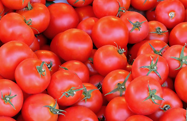 Image showing Tomatoes