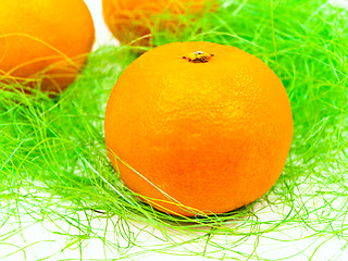 Image showing mandarin in decoration