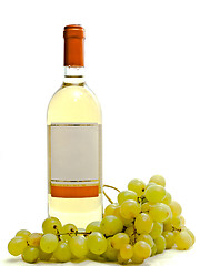 Image showing  white wine with vine