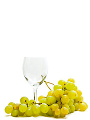 Image showing wineglass and grape