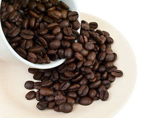 Image showing cup of coffee beans 