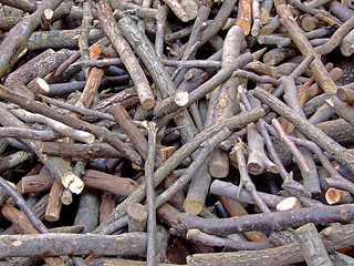 Image showing Pile of fire wood