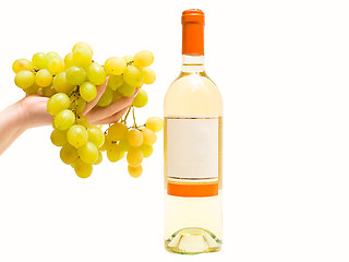 Image showing white wine with grape in hand