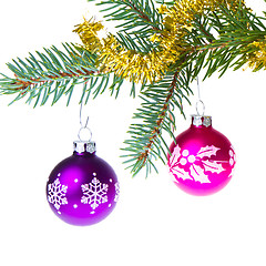 Image showing christmas balls on spruce branch