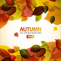 Image showing Vector Autumn abstract background with colorful leafs