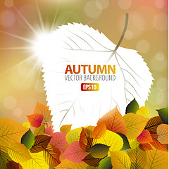 Image showing Vector autumn background with a card