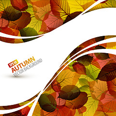 Image showing Colorful vector autumn background 