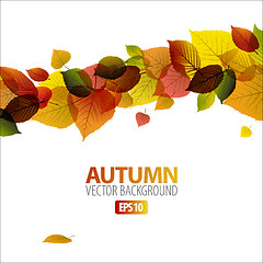 Image showing Autumn abstract floral background