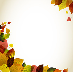 Image showing Autumn abstract floral background 