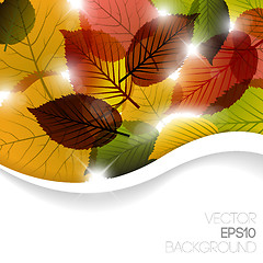 Image showing Autumn abstract floral background 