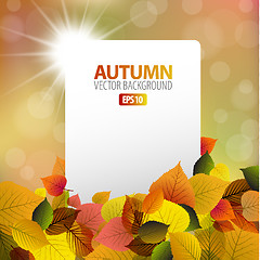 Image showing Vector autumn background with white card