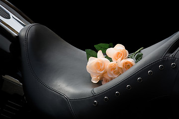 Image showing roses on bike seat