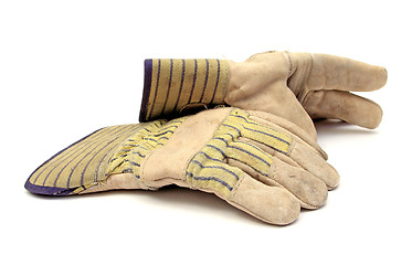 Image showing construction gloves