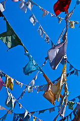 Image showing Clotheslines