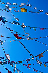 Image showing Clotheslines