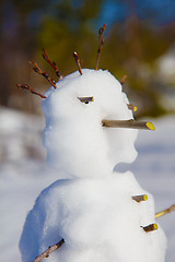 Image showing Portrait of a snowman