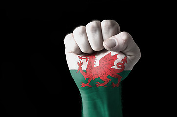 Image showing Fist painted in colors of wales flag