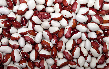 Image showing Haricot beans background