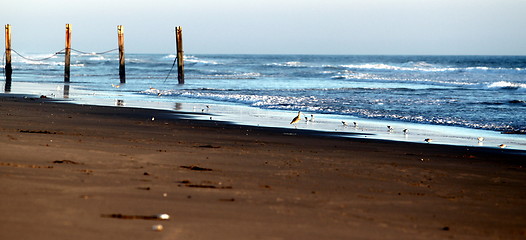 Image showing Beach Fence