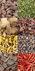 Image showing curry spice composite