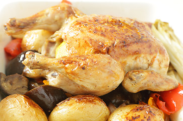Image showing Chicken and roast vegetables side view