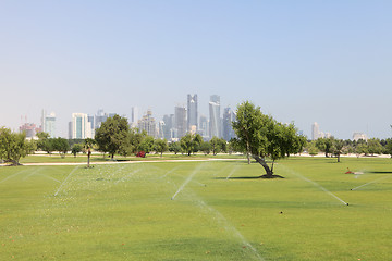 Image showing Greening the desert in Doha