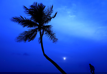 Image showing Palm silhouette and runner