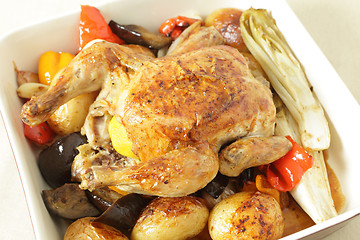 Image showing Chicken and roast vegetables high angle