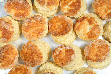 Image showing Fresh baked English scones from above