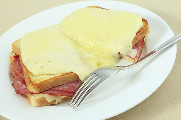 Image showing Croque monsieur at an angle