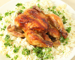 Image showing Roast chicken and rice high angle