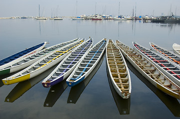 Image showing Dragon Boats