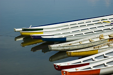 Image showing Dragon Boats