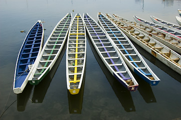 Image showing Dragon Boats
