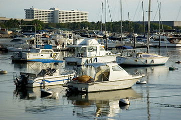 Image showing Sailboats