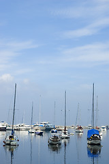 Image showing Sailboats