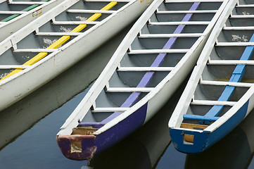 Image showing Dragon Boats