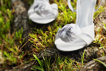 Image showing Wedding Shoes