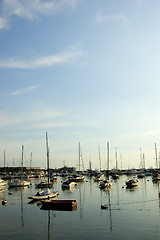 Image showing Sailboats