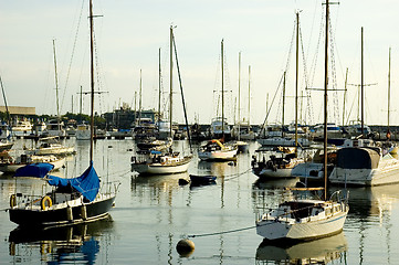 Image showing Sailboats