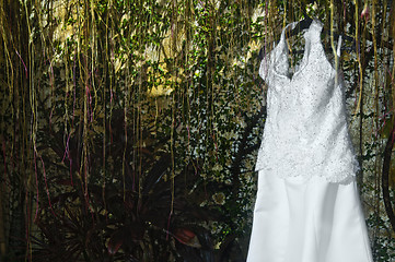 Image showing Wedding Gown